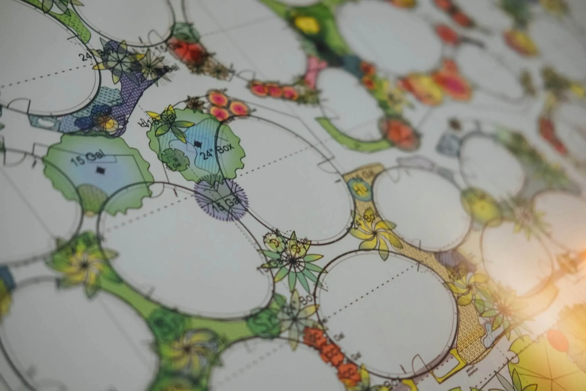Silicato Development illustrative image